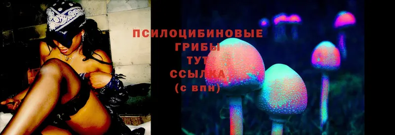 Галлюциногенные грибы Cubensis  Белая Калитва 